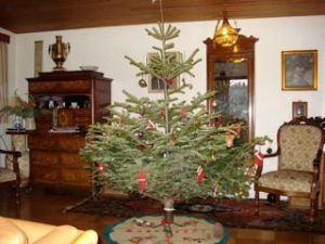 Ebba and Willie Mørkeberg's Christmas Tree, Frederiksværk, Denmark